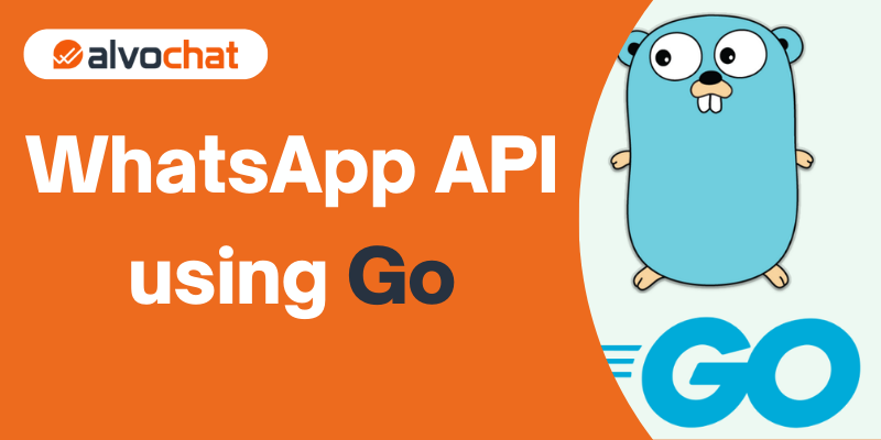 How to Send a WhatsApp API using Go-alvochat